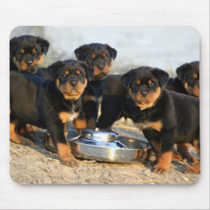 rottweiler-puppies muismat