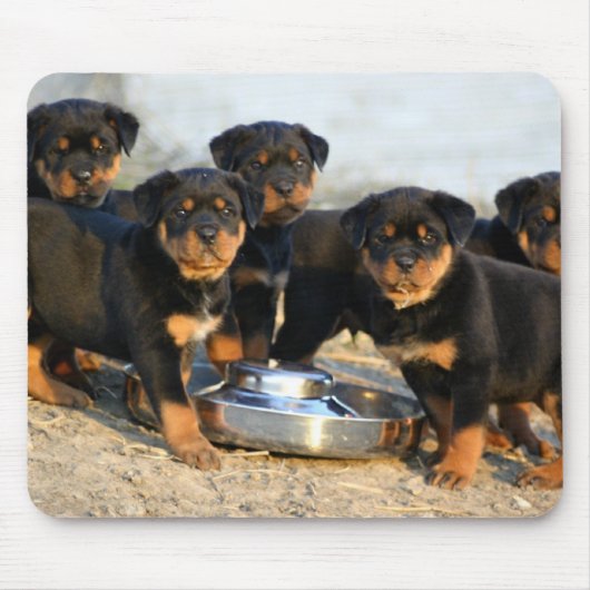 rottweiler-puppies muismat (Voorkant)