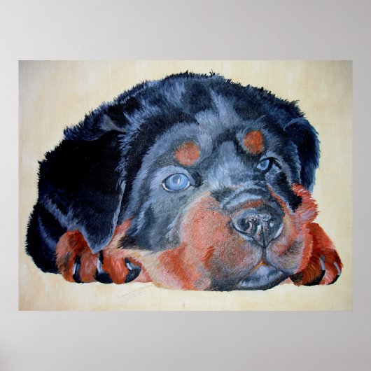 Rottweiler Puppy Artistic Pet Portret Poster (Voorkant)