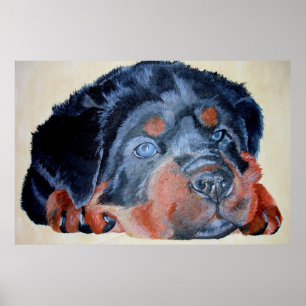 Rottweiler Puppy Artistic Pet Portret Poster