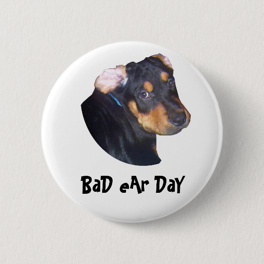 Rottweiler Puppy, BaD eAr DaY Ronde Button 5,7 Cm (Voorkant)
