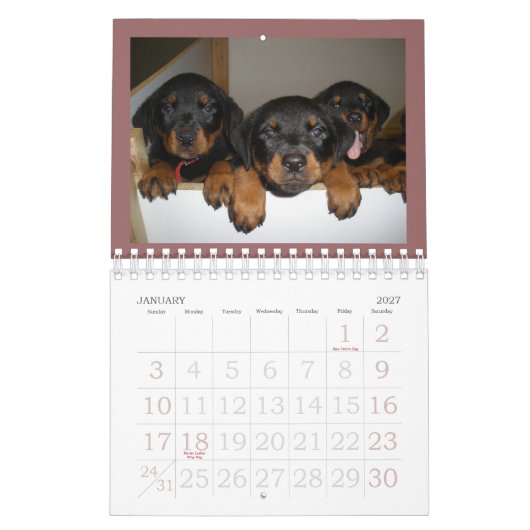 Rottweiler Puppy Calendar Kalender (Jan 2027)