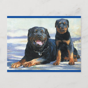 Rottweiler Puppy Dog Blank Briefkaart