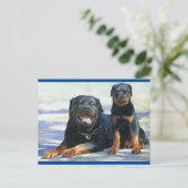 Rottweiler Puppy Dog Blank Briefkaart (Staand voorkant)