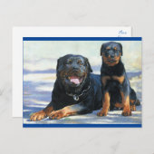 Rottweiler Puppy Dog Blank Briefkaart (Voorkant / Achterkant)