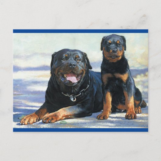 Rottweiler Puppy Dog Blank Briefkaart (Voorkant)