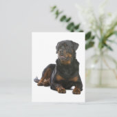 Rottweiler Puppy Dog Blank Briefkaart (Staand voorkant)