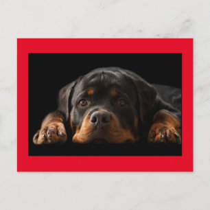 Rottweiler Puppy Dog Greeting Briefkaart - Blank