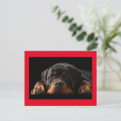 Rottweiler Puppy Dog Greeting Briefkaart - Blank (Staand voorkant)