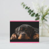 Rottweiler Puppy Dog Greeting Briefkaart - Blank (Staand voorkant)
