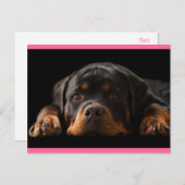 Rottweiler Puppy Dog Greeting Briefkaart - Blank (Voorkant / Achterkant)