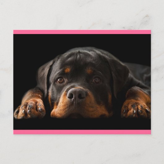 Rottweiler Puppy Dog Greeting Briefkaart - Blank (Voorkant)