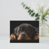 Rottweiler Puppy Dog Greeting Briefkaart - leeg (Staand voorkant)