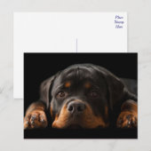 Rottweiler Puppy Dog Greeting Briefkaart - leeg (Voorkant / Achterkant)