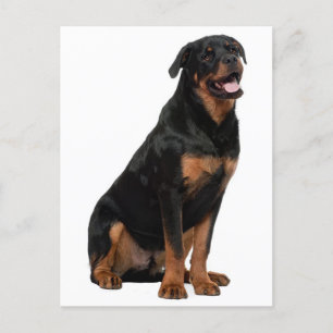 Rottweiler Puppy Dog - Hallo denken aan jou, liefd Briefkaart