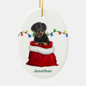 Rottweiler Puppy Dog in Holiday Gift Bag Keramisch Ornament (Achterkant)