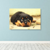 Rottweiler puppy dog nieuwsgierig naar leven canvas afdruk (Insitu (Houten vloer))