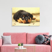 Rottweiler puppy dog nieuwsgierig naar leven canvas afdruk (Insitu (Woonkamer))