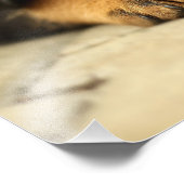 Rottweiler puppy dog nieuwsgierig naar leven foto afdruk (Hoek)