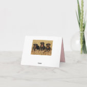 Rottweiler Puppy Dog Pink Blank Note Kaart (Achterkant)