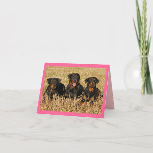 Rottweiler Puppy Dog Roze Blank Note Card Kaart
