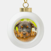 Rottweiler Puppy Dog Water Kleur Olieverf Kunst Keramische Bal Ornament (Voorkant)
