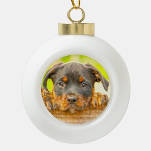 Rottweiler Puppy Dog Water Kleur Olieverf Kunst Keramische Bal Ornament (Voorkant)