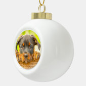 Rottweiler Puppy Dog Water Kleur Olieverf Kunst Keramische Bal Ornament (Rechts)