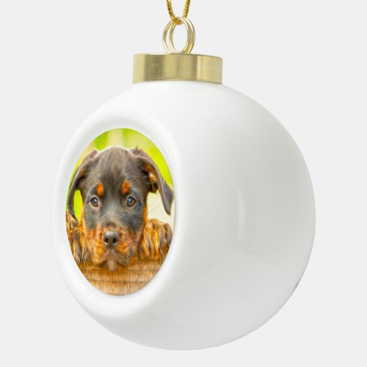 Rottweiler Puppy Dog Water Kleur Olieverf Kunst Keramische Bal Ornament (Rechts)