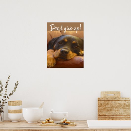 Rottweiler Puppy geeft niet op Poster (Keuken)