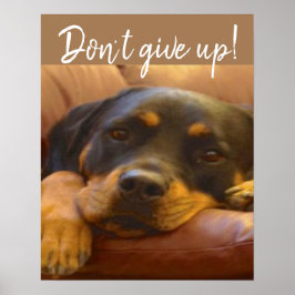 Rottweiler Puppy geeft niet op Poster