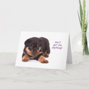 Rottweiler Puppy Get Well Card Kaart