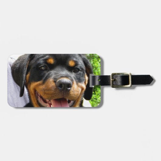 Rottweiler puppy gezicht Hond Schattige Bagagelabel (Voorkant horizontaal)