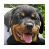 Rottweiler puppy gezicht Hond Schattige Tegeltje (Voorkant)