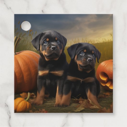 Rottweiler Puppy Herfst Delight Pompoen Bedankjes Labels (Voorkant)