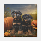 Rottweiler Puppy Herfst Delight Pompoen Magneet (Voorkant)