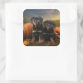 Rottweiler Puppy Herfst Delight Pompoen Vierkante Sticker (Tas)