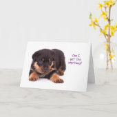 Rottweiler puppy krijgt goede Kaart (Gele Bloem)
