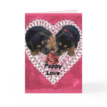 Rottweiler Puppy Love Valentijns