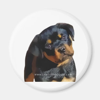 Rottweiler puppy magneet