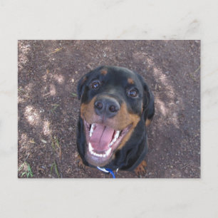 Rottweiler Puppy met Big Smile Briefkaart