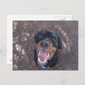 Rottweiler Puppy met Big Smile Briefkaart (Voorkant / Achterkant)