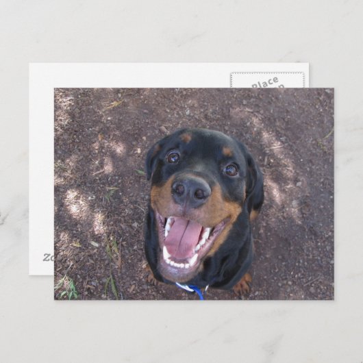 Rottweiler Puppy met Big Smile Briefkaart (Voorkant / Achterkant)