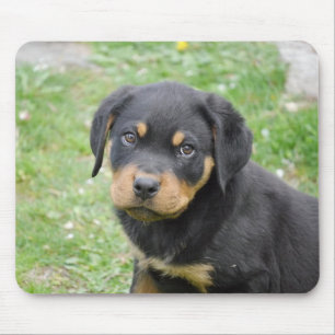 Rottweiler Puppy Muismat