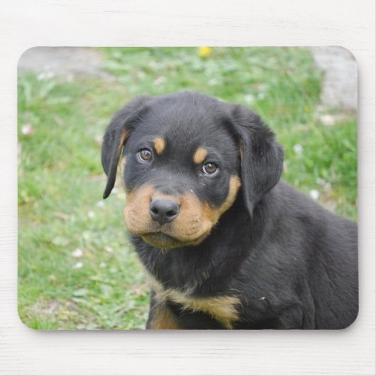 Rottweiler Puppy Muismat (Voorkant)
