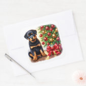 Rottweiler puppy naast een kerstboom vierkante sticker (Envelop)