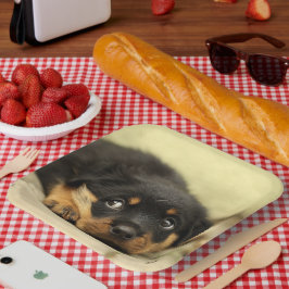 Rottweiler Puppy Papieren Bordje