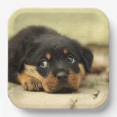 Rottweiler Puppy Papieren Bordje (Voorkant)