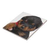 Rottweiler Puppy Red Tegeltje (Zijkant)
