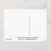 Rottweiler Puppy Santa Paws kaarten Feestdagenkaart (Achterkant)